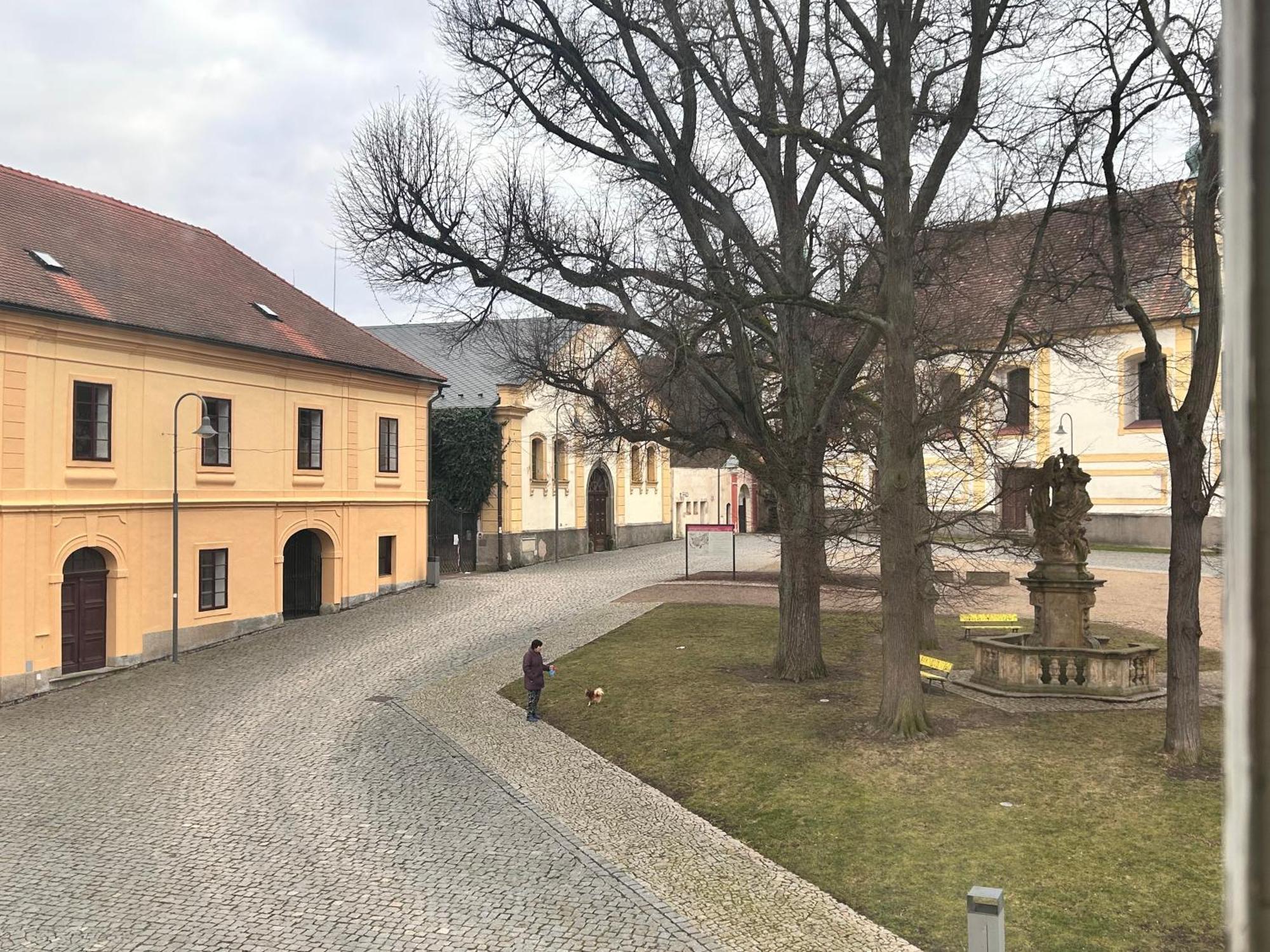 Restaurace A Penzion Podloubi Opočno Kültér fotó